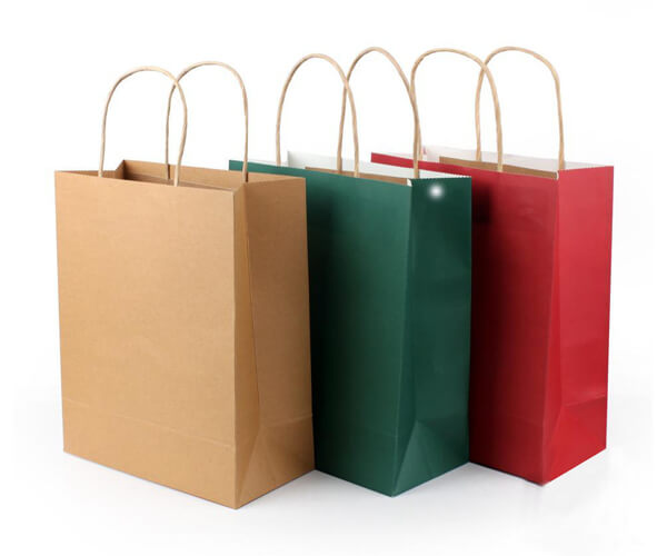 Paper Handle Bags 5