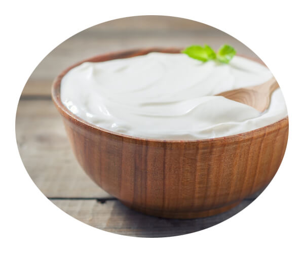 yogurt application 3