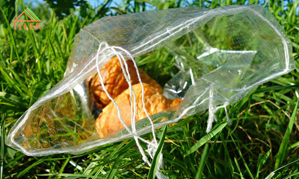 biodegradable pouches